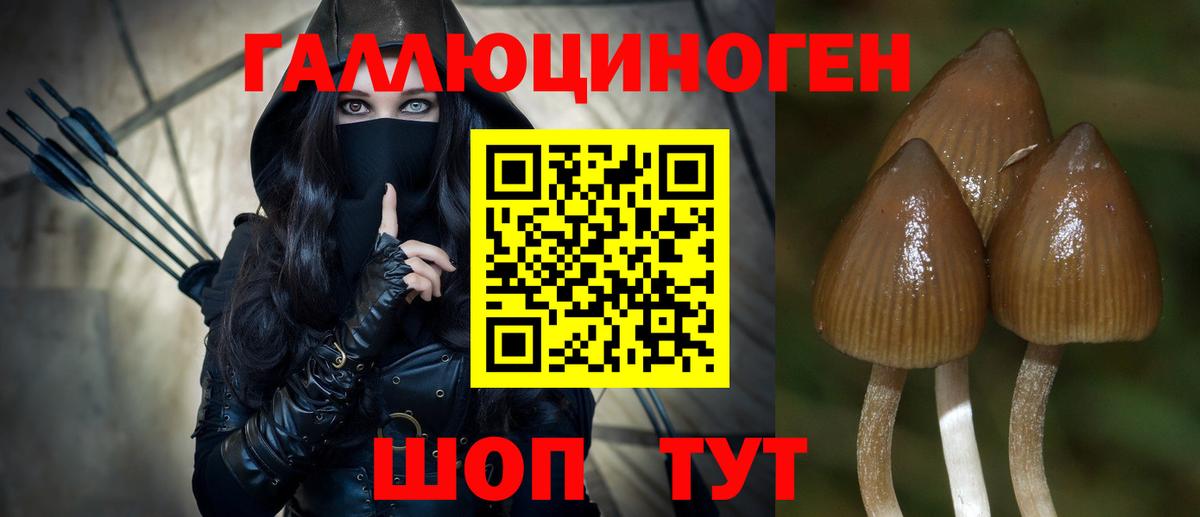 Галлюциногенные грибы MAGIC MUSHROOMS  Вход с VPN  Фрязино 