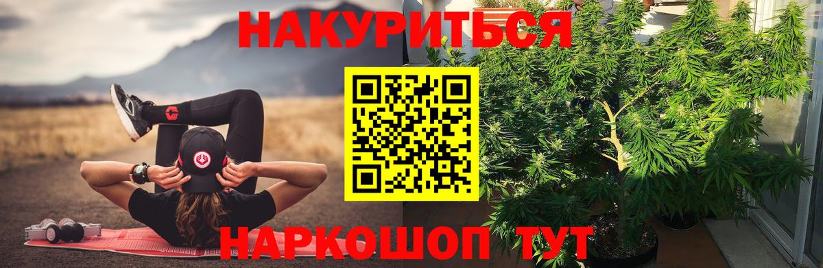 Конопля SATIVA & INDICA  Бошки Шишки OG Kush  Бошки марихуана конопля  Фрязино  Марихуана Bruce Banner  Вход с VPN 